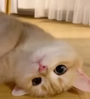🙃