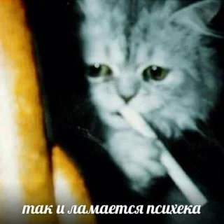 🚬