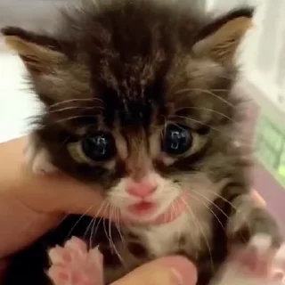 😠