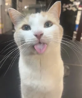 😛