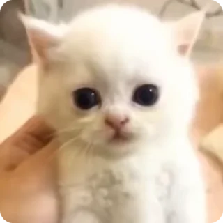 😱