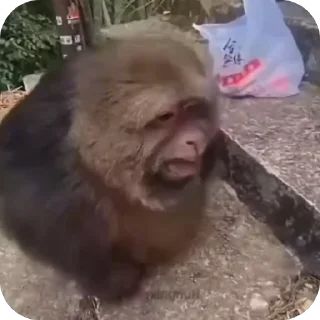 🥰