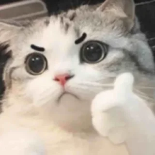 👍