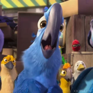 🦜