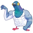 💪