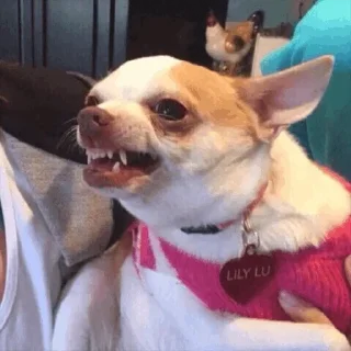 😝