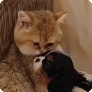 😘