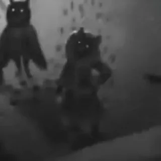 🦊