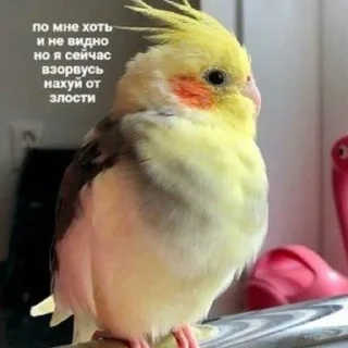 😠