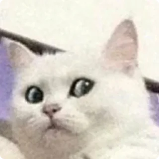 😳