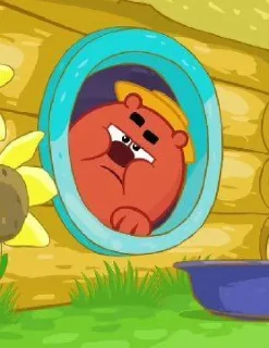 🐻