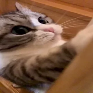 😋
