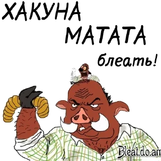 🐷