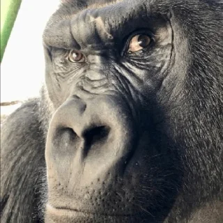 🤨