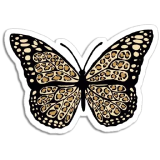 🦋