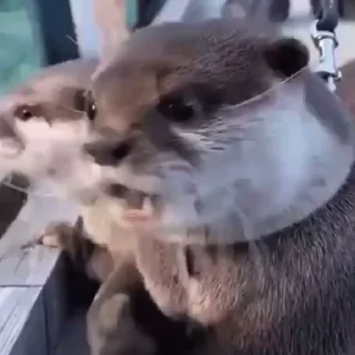 😦