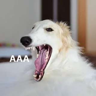 😱