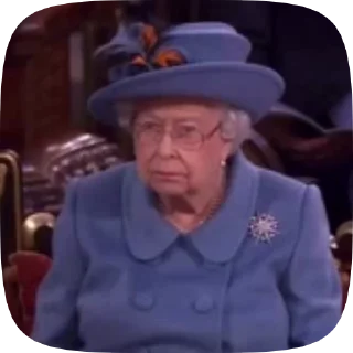 👑