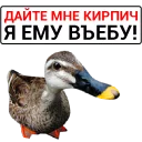 🦆