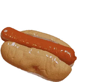 🌭