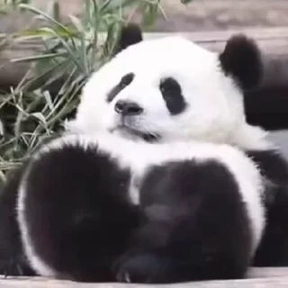 🫠
