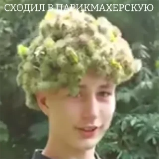 🥸
