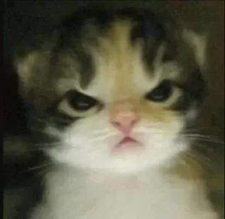 😠