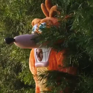 👀