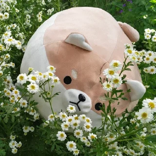 🌱