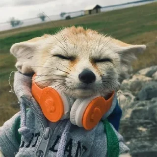 🎧