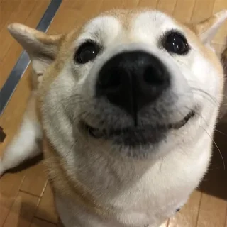 👃