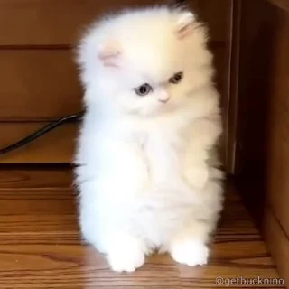 😳