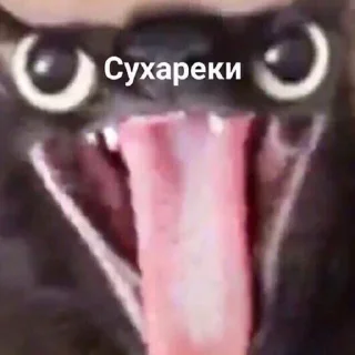 😋