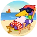 😎