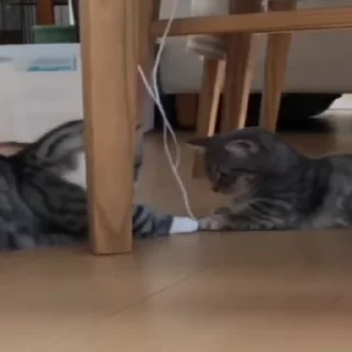 👊