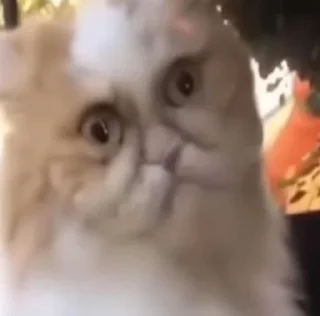 😣
