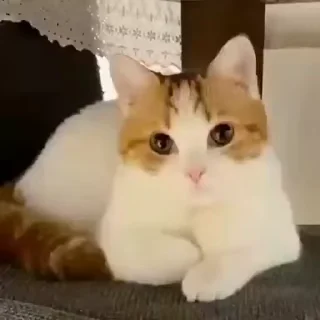 🙂