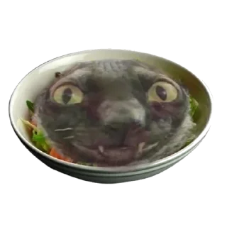 🥗