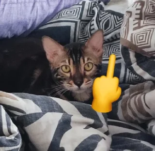 🖕