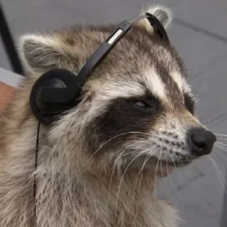 🎧