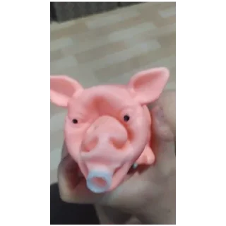 🐷