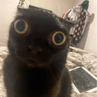 😟