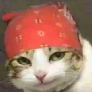 👅
