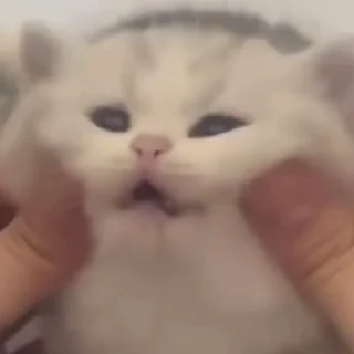 😍