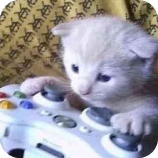 🎮