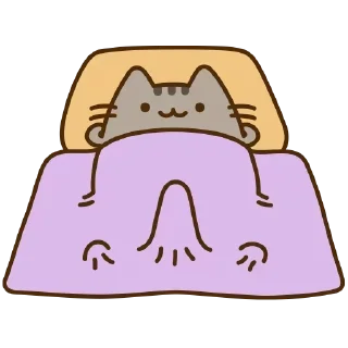 😻