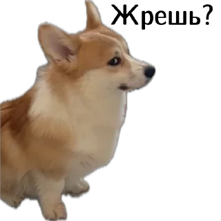 😕