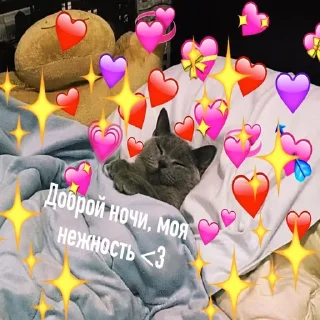 😴