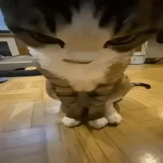 😠