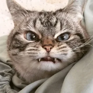 😠